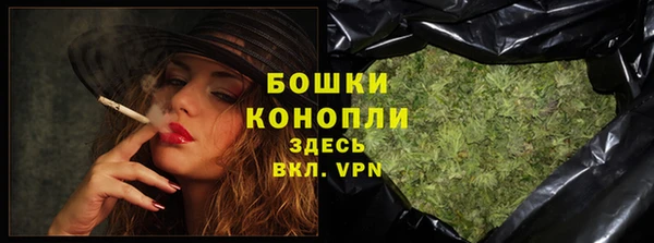 прущие грибы Белокуриха