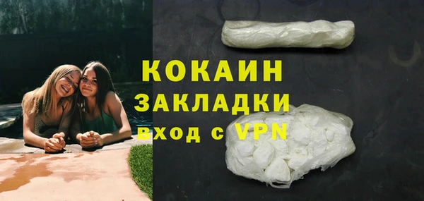 прущие грибы Белокуриха