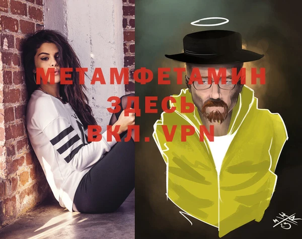 прущие грибы Белокуриха