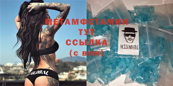 прущие грибы Белокуриха