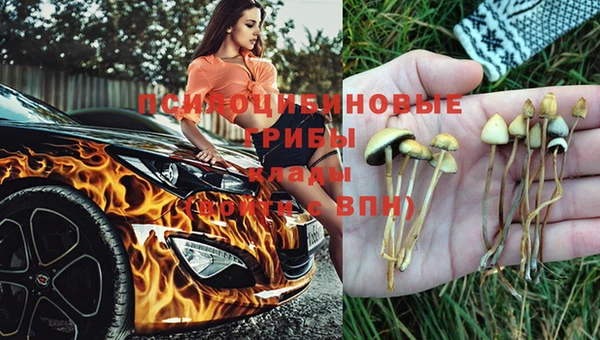 шишки Богородицк