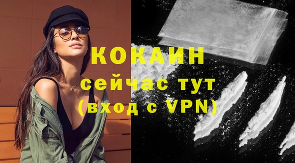 прущие грибы Белокуриха