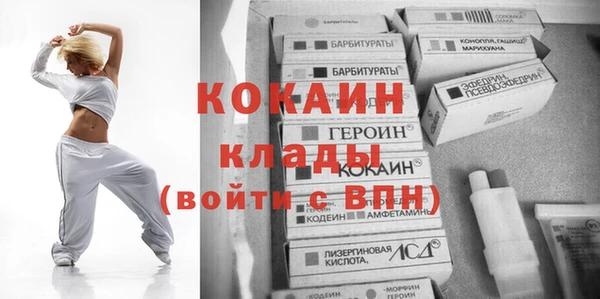 прущие грибы Белокуриха
