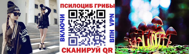 Галлюциногенные грибы Psilocybe  цена   мега как войти  Окуловка 